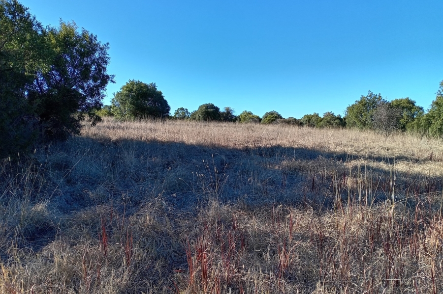 0 Bedroom Property for Sale in Koster North West